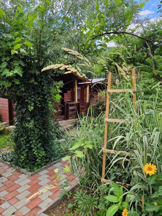 Casa Jan B. 호텔 Lorau 외부 사진