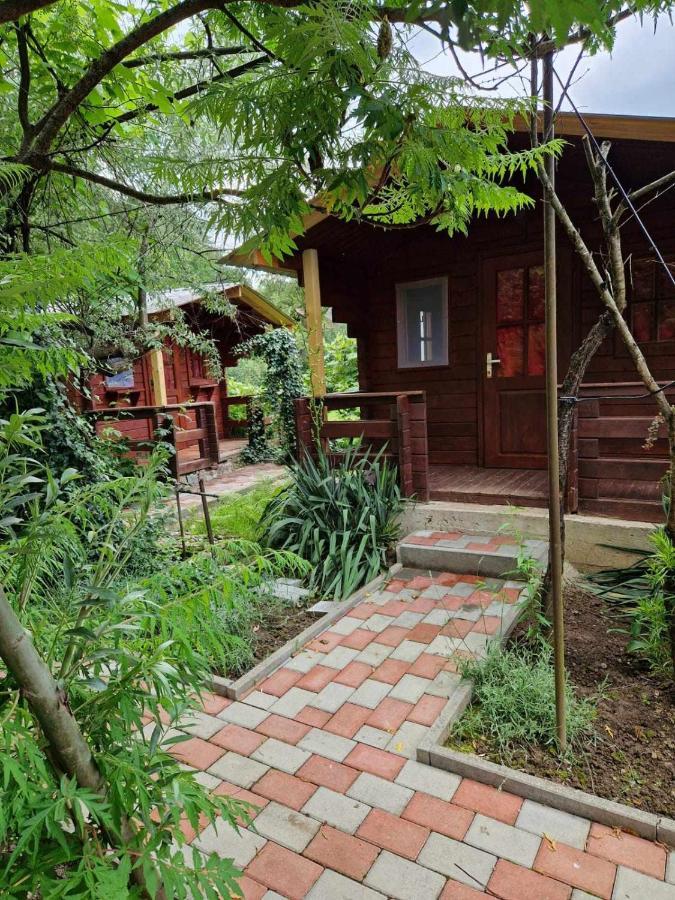 Casa Jan B. 호텔 Lorau 외부 사진